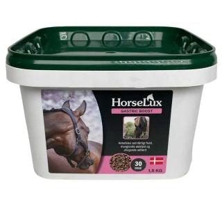 HorseLux Gastric Boost