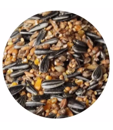 Havens SuperBird – energirig vildfugleblanding til foderbræt og automat.