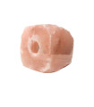 Himalayasliksten