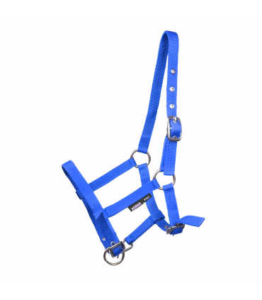 Horka Grime Føl - Rideudstyr - HesteGrovvaren