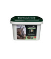HorseLux Biotin 1 kg