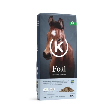 Krafft Foal