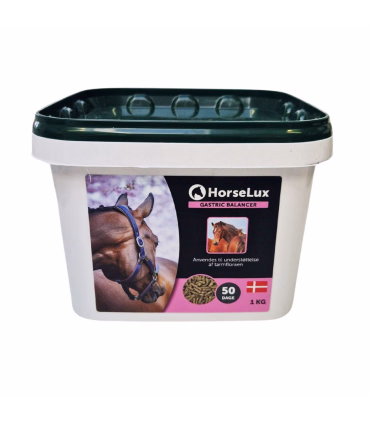 HorseLux Gastric Balancer – støtte til hestens fordøjelse.
