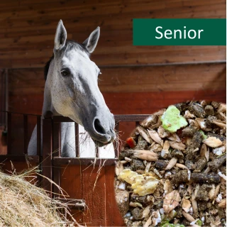 HorsePro Senior