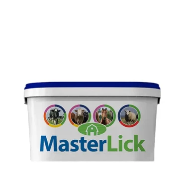 MasterLick High Mag 20 kg