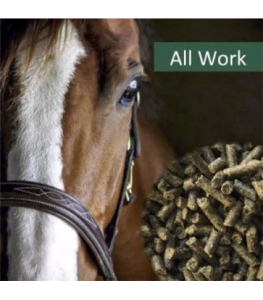 HorsePro All Work – fiberrigt, havrefrit kraftfoder til aktive rideheste