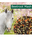 HorsePro Beetroot Mash