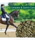 HorsePro Compete & Gastro Care – kornfrit foder til sensitive sportsheste med sund mave.