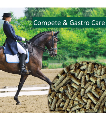 HorsePro Compete & Gastro Care – kornfrit foder til sensitive sportsheste med sund mave.