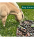 HorsePro Easy Nature – kornfrit müeslifoder til nøjsomme heste.