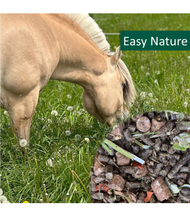 HorsePro Easy Nature – kornfrit müeslifoder til nøjsomme heste.