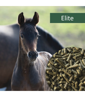 HorsePro Elite - Hestefoder - HesteGrovvaren