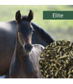 HorsePro Elite 20 kg