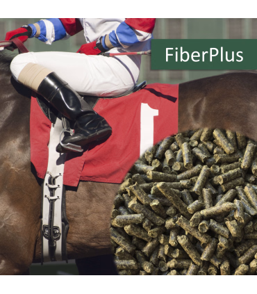 HorsePro Fiber Plus – energirigt foder med hørfrø, urter og lavt sukkerindhold.