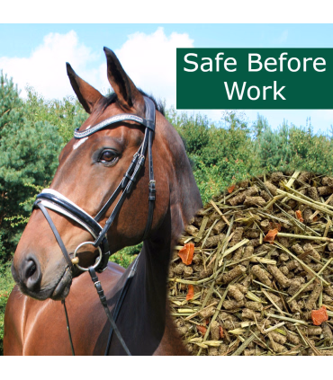 HorsePro Safe Before Work – skånsomt foder til følsomme heste før træning.
