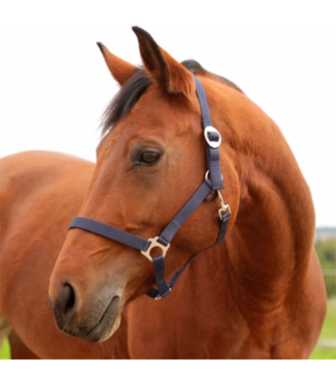 Kerbl Grime Hippo Navy -  Rideudstyr - HesteGrovvaren