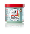 Leovet Cold Pack 500 ml