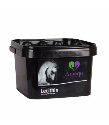 Amequ Lecithin- Hestefoder - HesteGrovvaren
