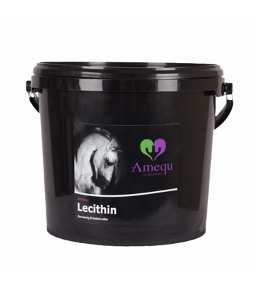 Amequ Lecithin- Hestefoder - HesteGrovvaren
