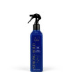 Nathalie Strong Hold Plait 250 ml