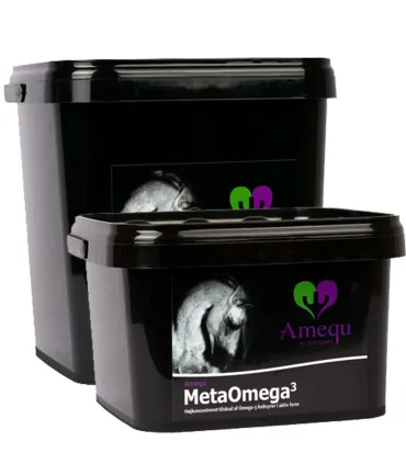 Amequ MetaOmega-3