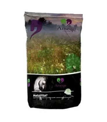Amequ MetaVital+