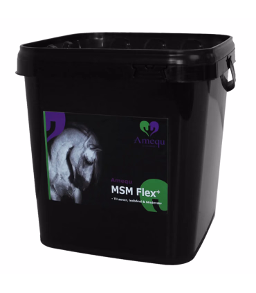 Amequ MSM Flex+ - Hestefoder - HesteGrovvaren