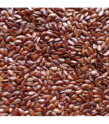 Olie Hørfrø - Hestefoder - HesteGrovvaren