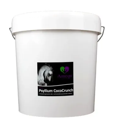 Amequ Psyllium CocoCrunch