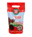 Salvana Hestebolche Lakrids