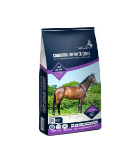 Saracen Condition Improver Cubes - Hestefoder - HesteGrovvaren