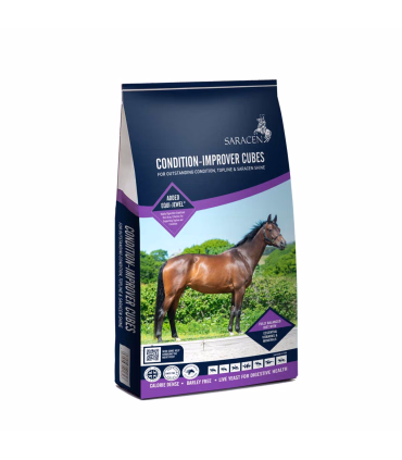 Saracen Condition Improver Cubes - Hestefoder - HesteGrovvaren
