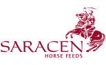 Saracen